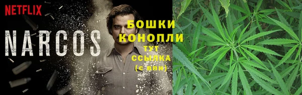 трава Володарск