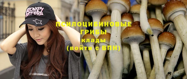 трава Володарск
